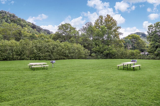 Picnic area - Paint Lick Station