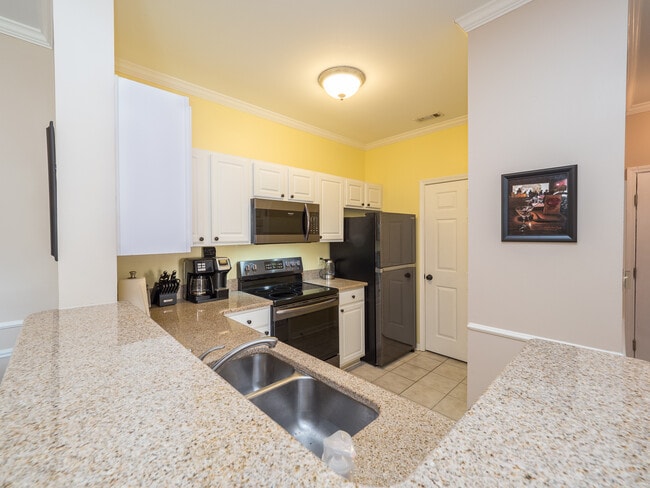 Disfrute de la cocina bien actualizada. - 1600 Long Grove Dr Unidad 1221