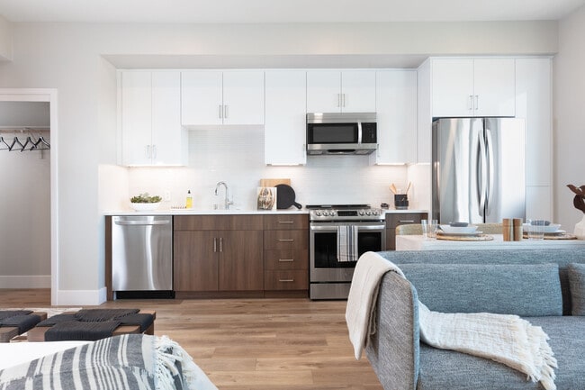 Photo - The Palomino