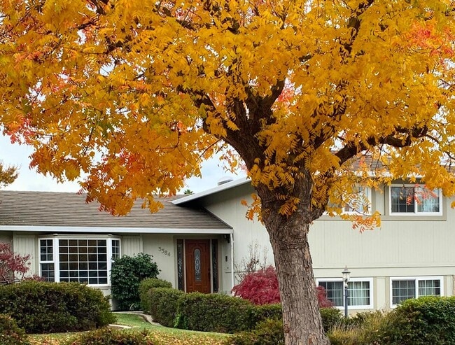 Photo - 3384 Burgundy Dr