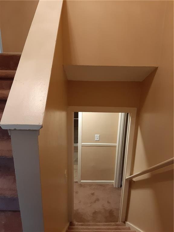 Photo - 1984 Taffeta Trail