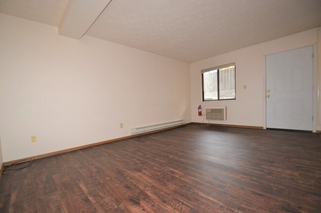 Living Room - 278 Torrey St Unit B