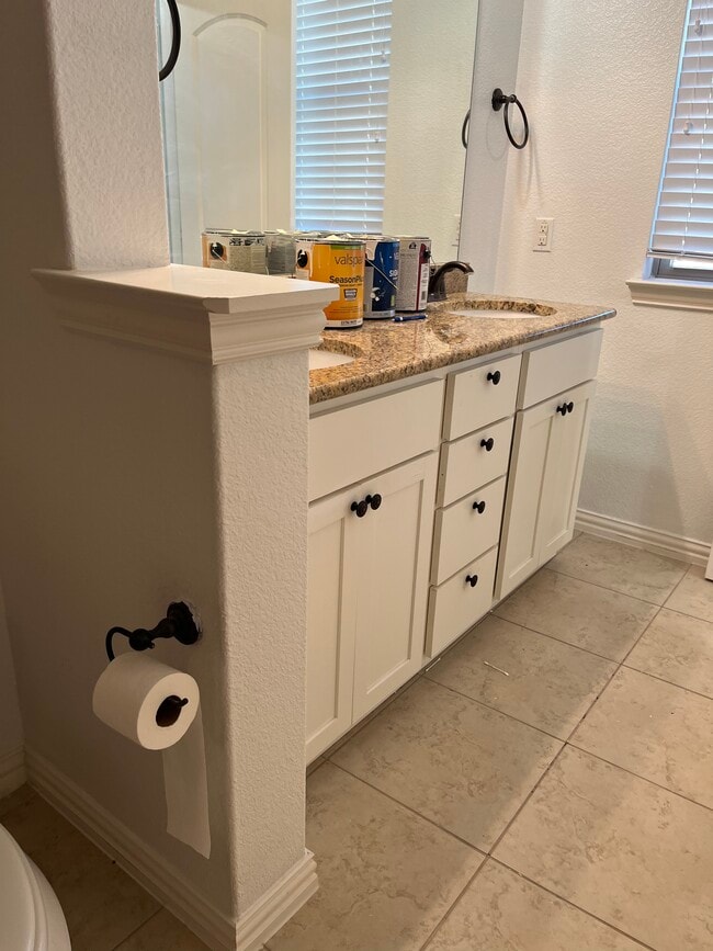 Master bathroom. - 913 Brookville Ct