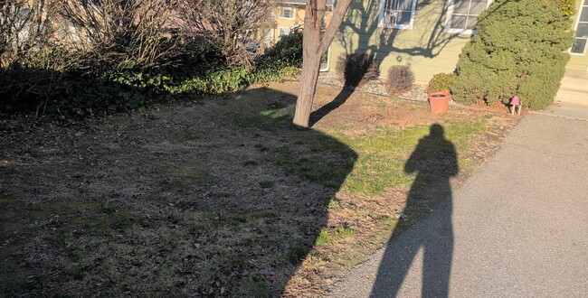 Photo - 939 N Baker Ave Unit 11