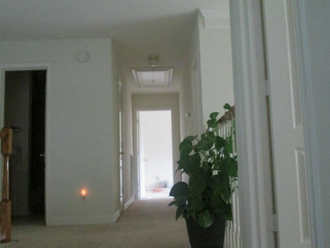 Photo - 4014 Reinald Rd