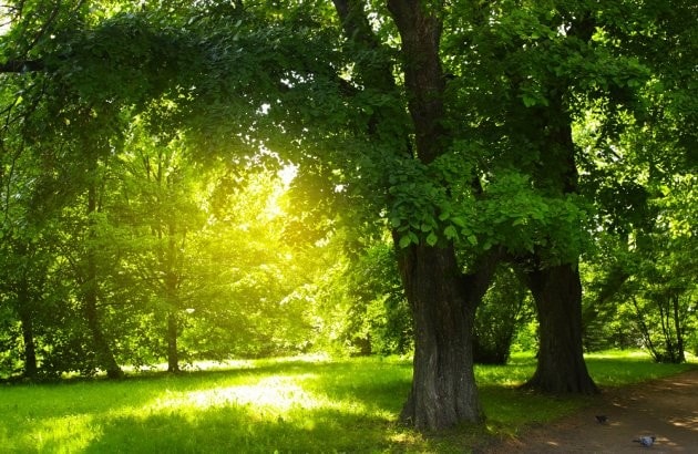 Photo - Britain Way Apartments-SOLD