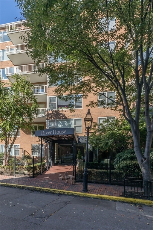 Photo - 145 Pinckney St Condo Unit 205
