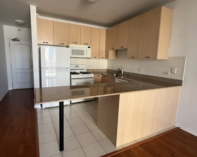 Photo - 635 N Dearborn St Unit 2003