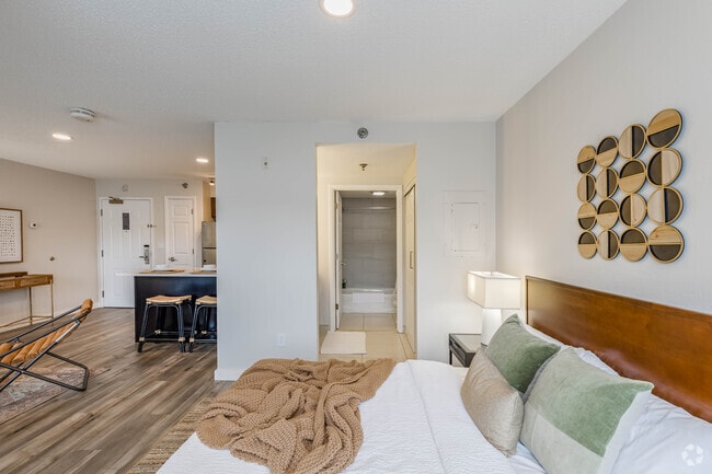 Studio - 502SF