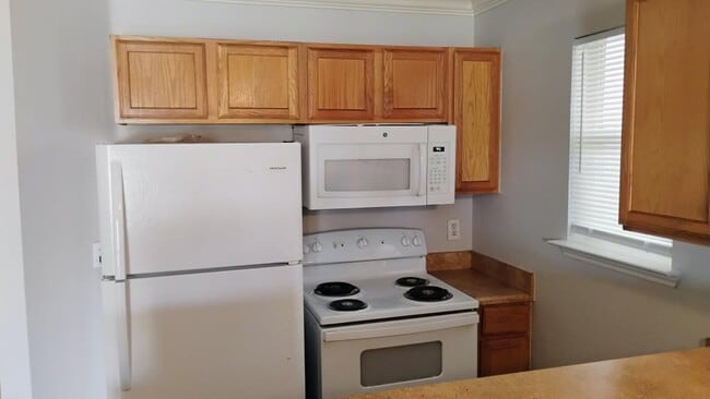 Photo - 1305 Village Garden Dr