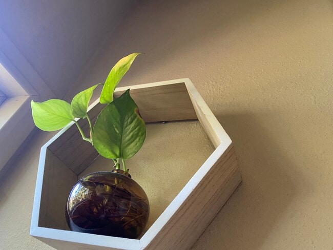 Photo - 216 Emporia Blvd