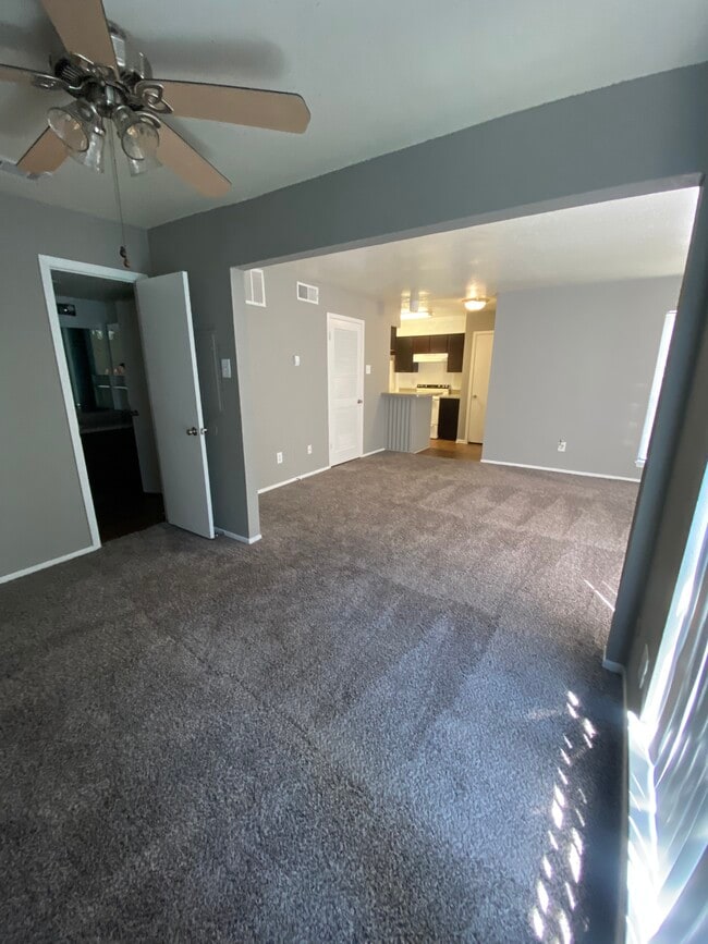 Living room/sleeping area