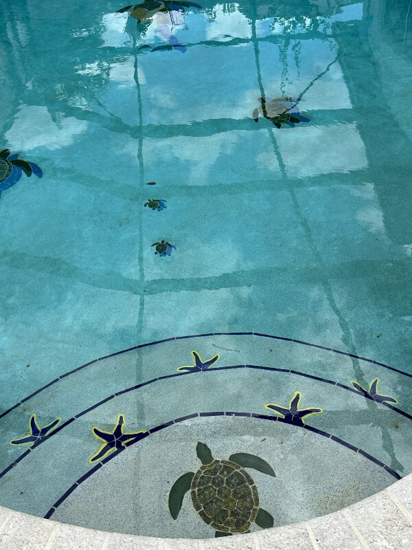 Photo - 14481-Sw146 SW 146th Pl