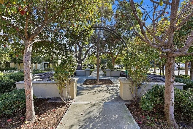40203 Antigua Rose Terrace