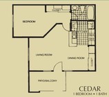 CEDAR