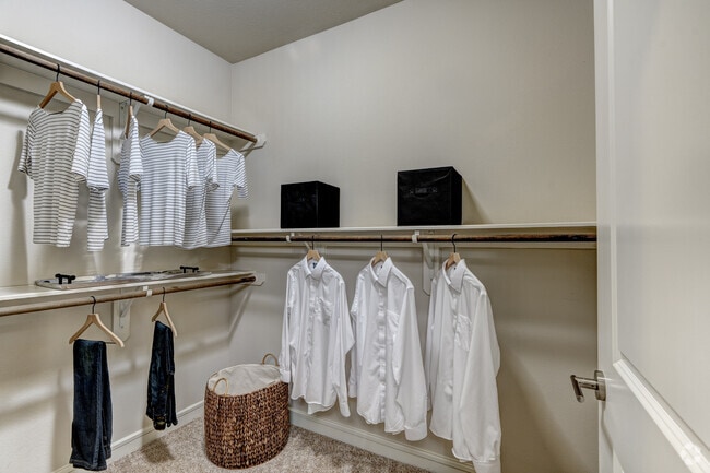 2BR, 2BA - 1,240SF - Primary Closet