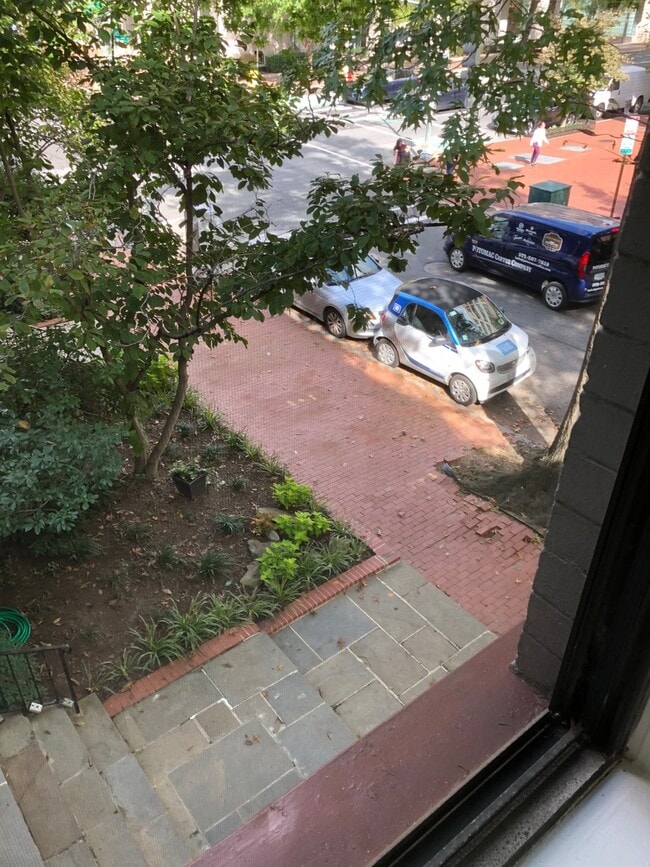 Photo - West End Giant