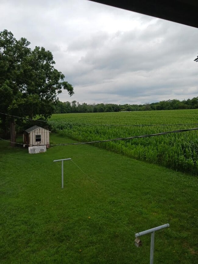 Rear View - Private Yard - 86 N Blettner Ave