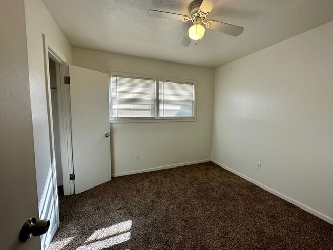 Photo - Available August 15th