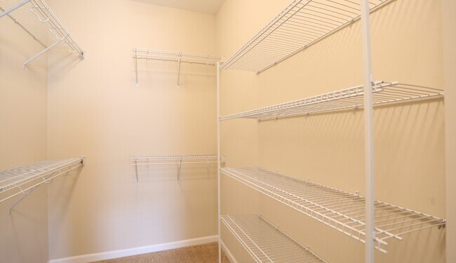 Walk-In Closet with Built-In Shelving