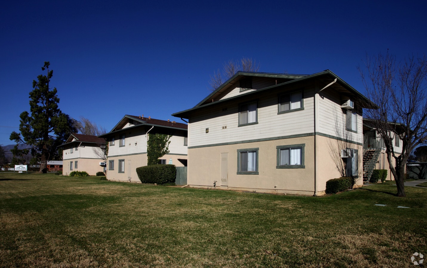 Pine Tree Apartments - Pine Tree Apartments