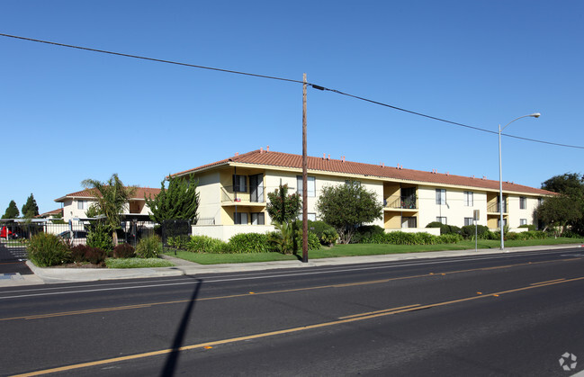 Bay Laurel Apartments - Bay Laurel Apartments