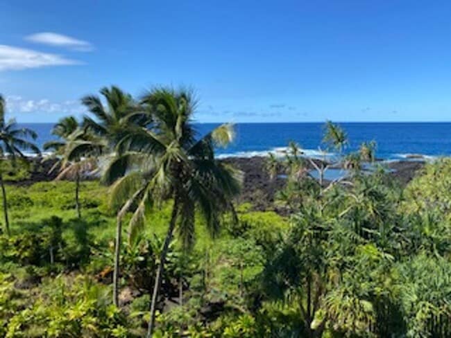 Building Photo - 2BR/2BA with ocean view Unit 206