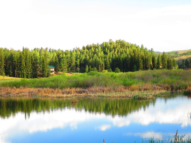 Photo - 15729 Pine Lake Dr