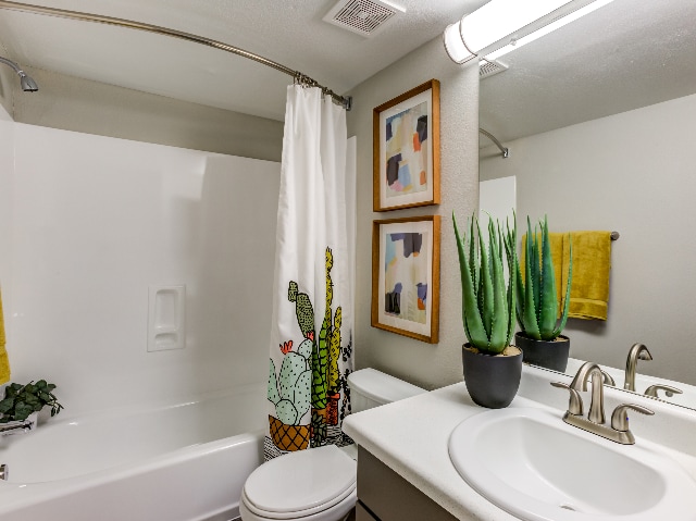 Renovated Bath