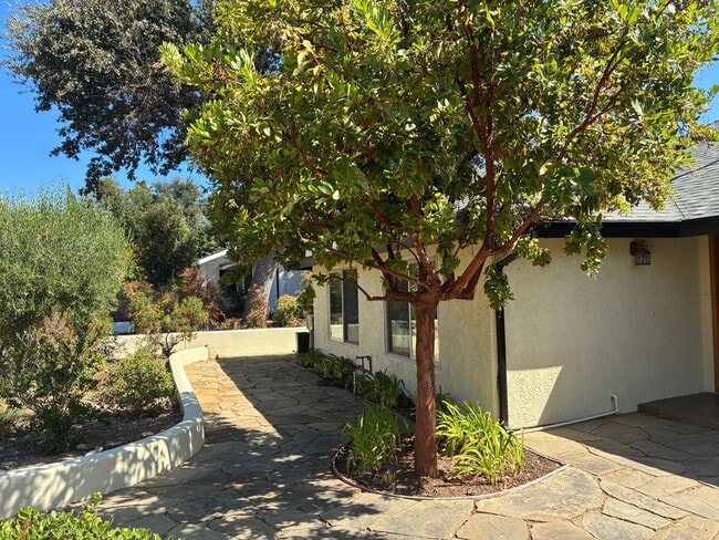 1105 Del Nido Ct