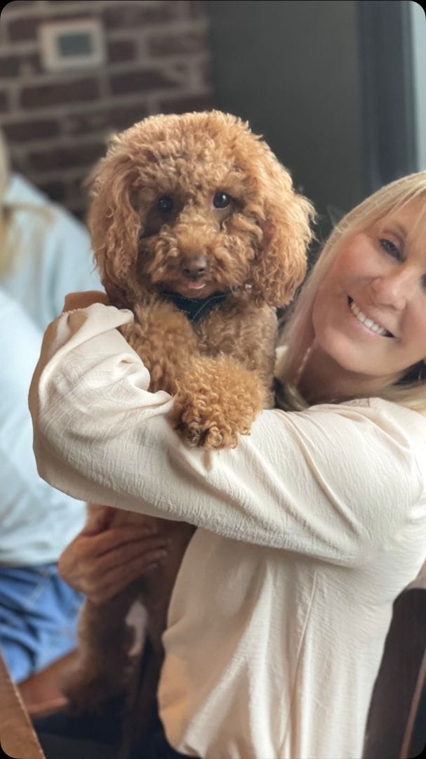 Building Photo - Nice two bedroom condo on one level in Hermitage