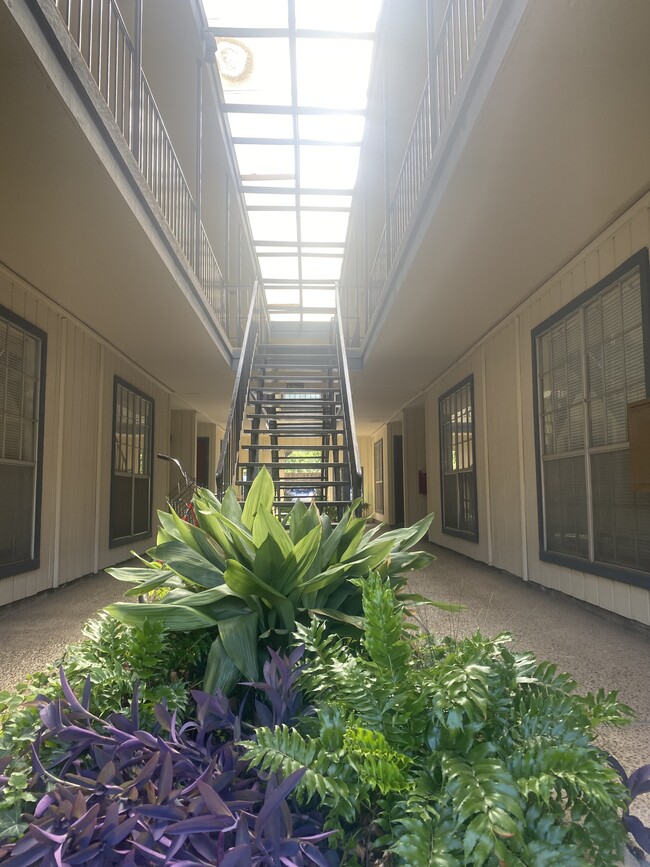 Photo - 311 Jagoe Street Unit 12