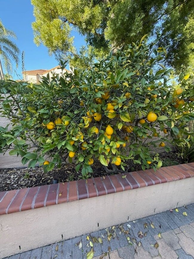 Photo - 2 Bedroom Condo in Aliso Viejo!