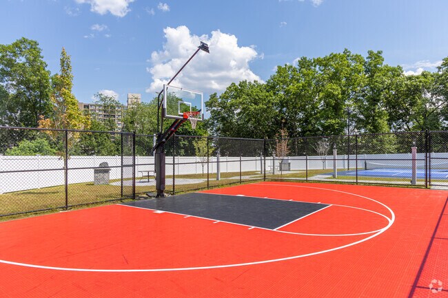 Basketball Court