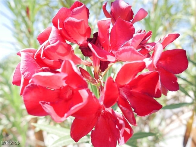 Building Photo - 6051 W Dewey Dr