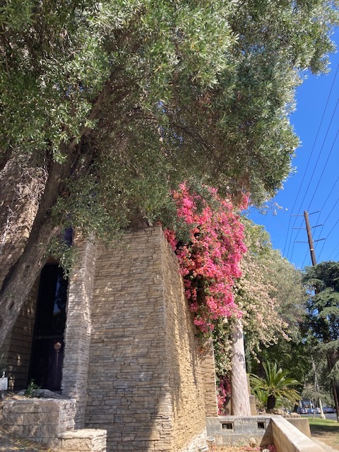 Westside of building - 3949 Los Feliz Blvd Apartments