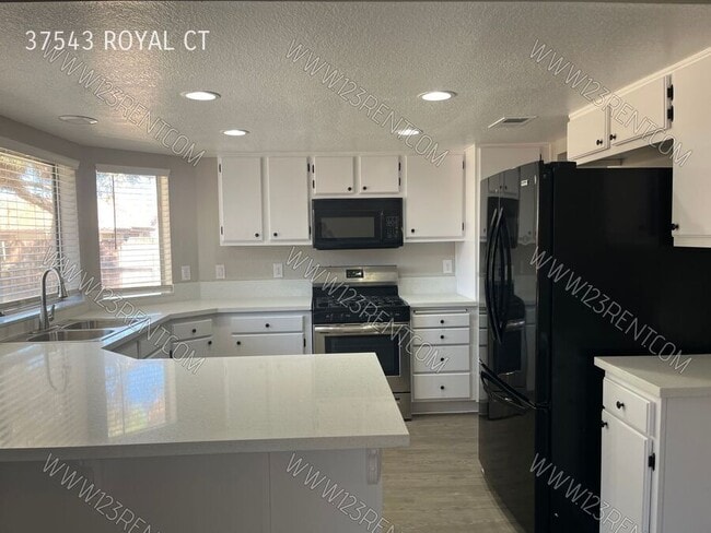 Photo - 37543 Royal Ct