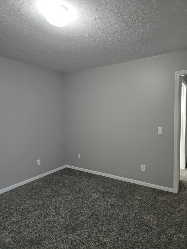 Photo - Manitou Woods