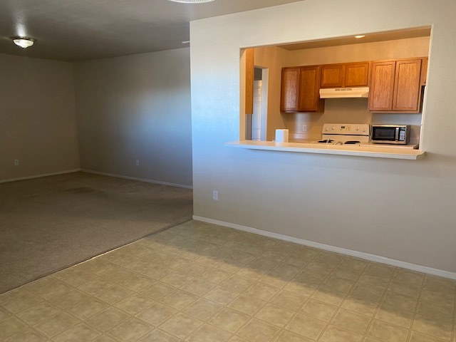 Open Concept - 835 E Cedar Ct Apartments Unit A