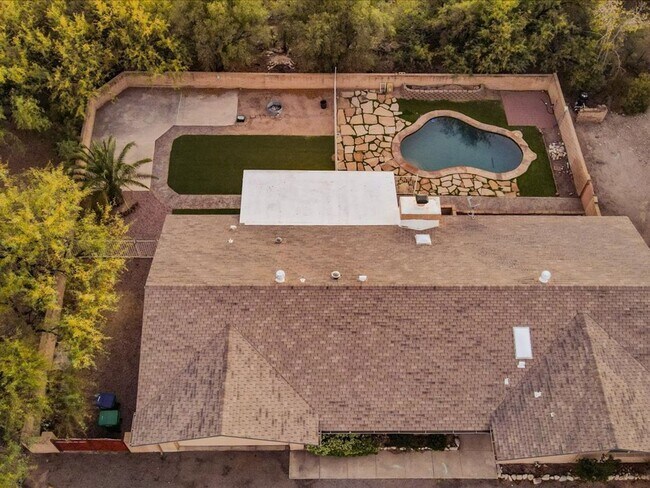 Photo - FOOT HILLS! FOOT HILLS! FOOT HILLS! FOOT H...