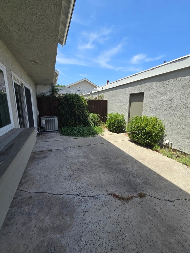 Photo - 10 Goldenbush