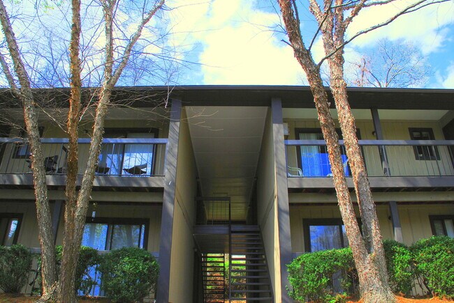 Campus View Apt-Walking Distance to UGA! - Campus View Apt-Walking Distance to UGA!