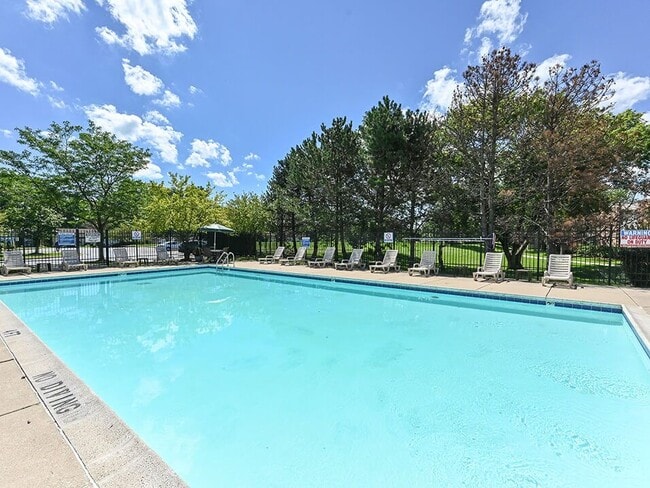 Shimmering Swimming Pool