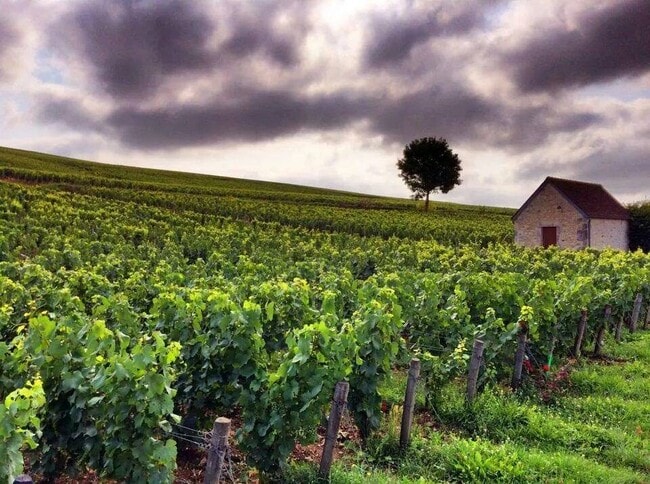 Photo - Lakehouse Unit 203