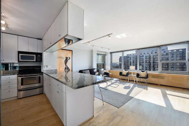 Photo - 1255 N Sandburg Terrace Unit 1207E