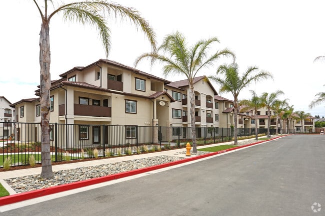 Palms at Morada