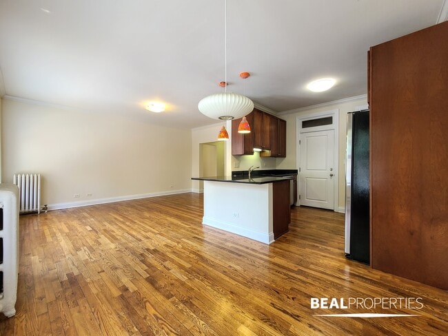 Photo - 744 W Addison St Unit 1