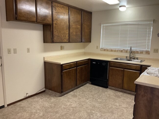 Photo - Look no more