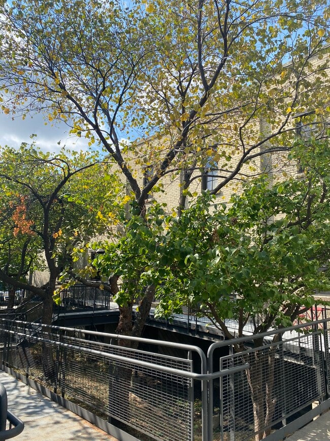 Entrance - 350 W Pierpont Ave Unit W203