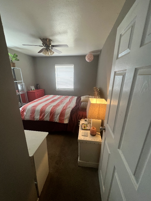 Photo - 3926 Mehalia Dr